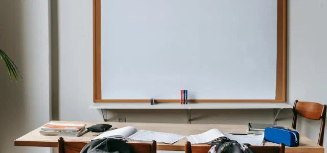 Reflections on Running for Class Cadre in University