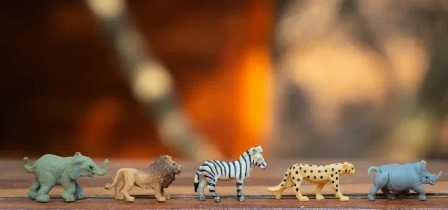 Reflections on Legal Advocacy