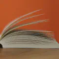 司考结束,我的大学也基本结束了
