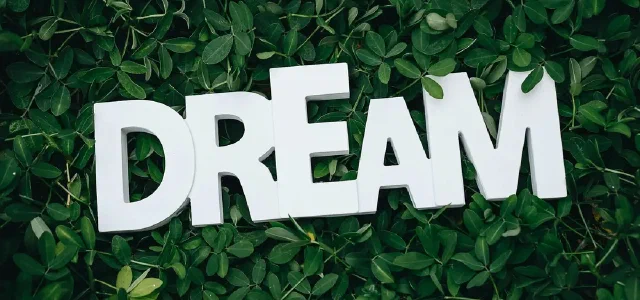 Some Dreams Are Beyond Comprehension, So They Must Be Recorded First