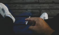 Featured image of post The Power of Habit