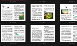 Featured image of post First Issue of 'Happy Reading'