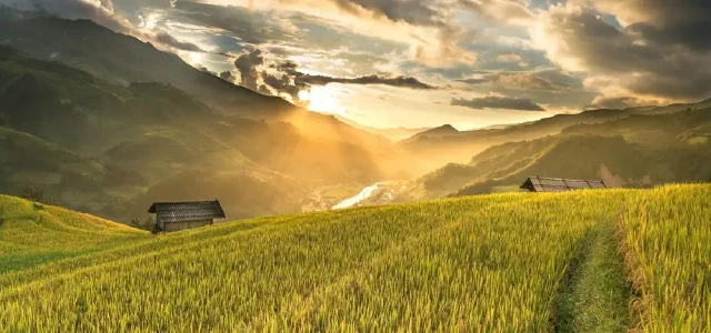 Subjects and Procedures for Determining Membership in Rural Collective Economic Organizations