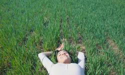 Featured image of post Dream Interpretation