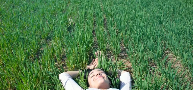 Dream Interpretation