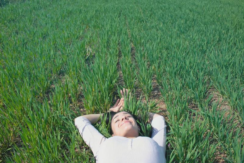 Featured image of post Dream Interpretation