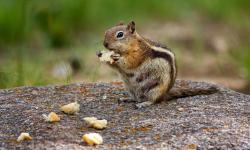 Featured image of post June, Forward, March On