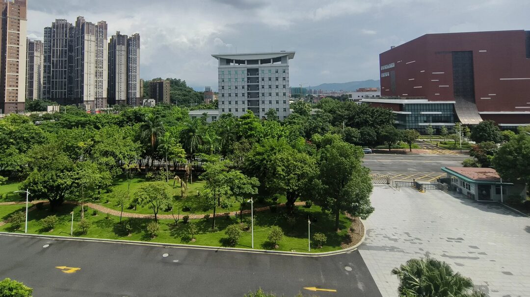 After 11 years, returning to work at the court again