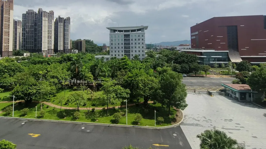 11年后,再次回到法院工作(临时)