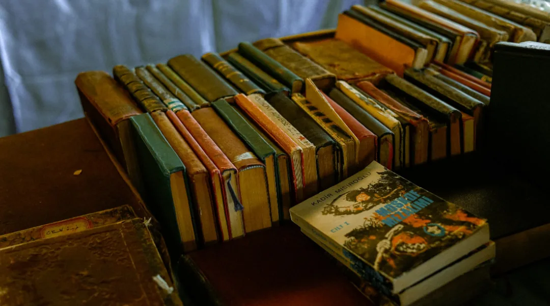 The Books That AI Companies Devoured