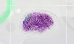 Featured image of post Ai 现在真正缺的不是算力，而是“记忆”