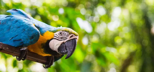 Attending the 22nd Anniversary of Foshan University Law School & Visiting the Wildlife Rescue Center