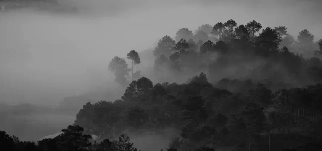 Behind Every Feminist Fighter, There is a Man Who Influenced Her Life (1)