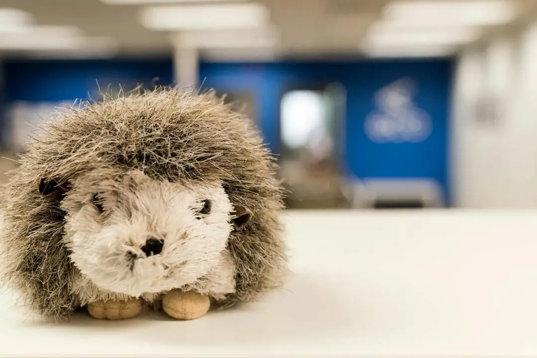 Imagining Names for Future Children