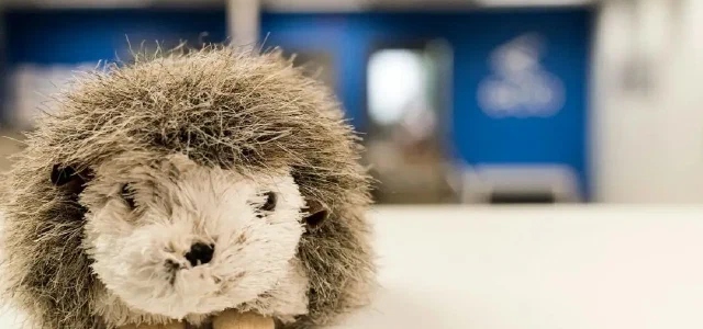 Imagining Names for Future Children