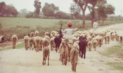 Featured image of post Economic Theory Reversed Again: Poorer Regions Now Experience Lower Growth Rates