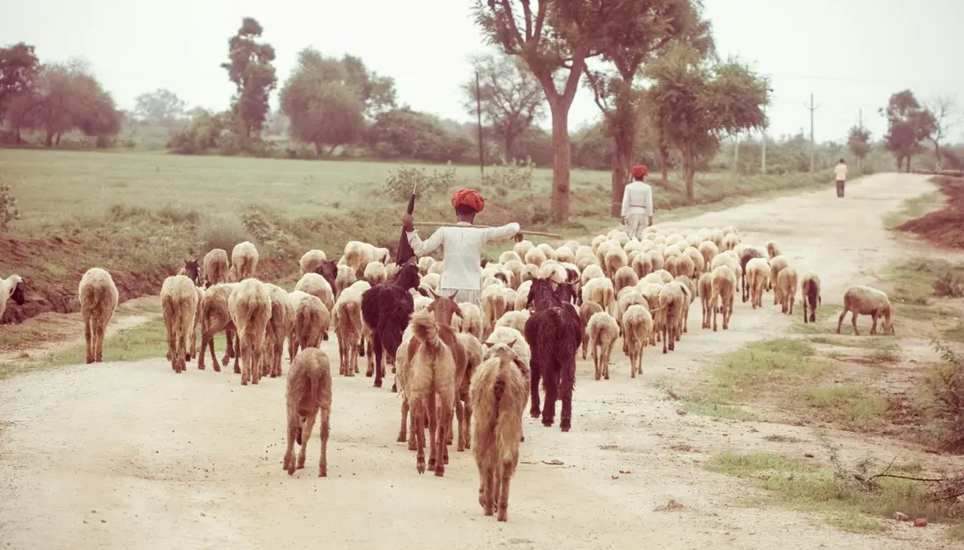 经济学理论再次反转：现在越穷的地区经济增速又变成越低了