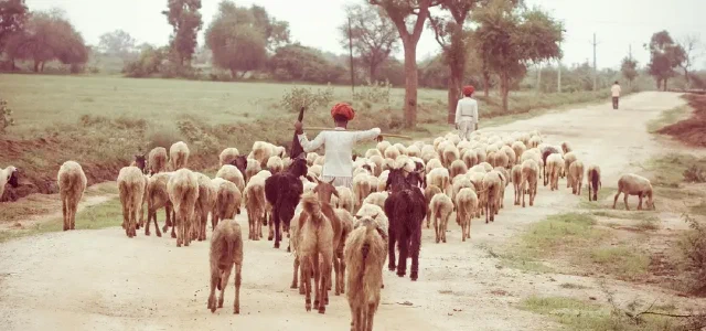 Economic Theory Reversed Again: Poorer Regions Now Experience Lower Growth Rates