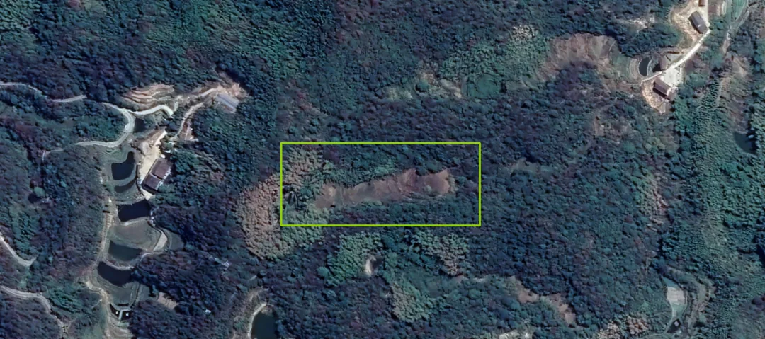 The location in the picture is my family’s contracted farmland