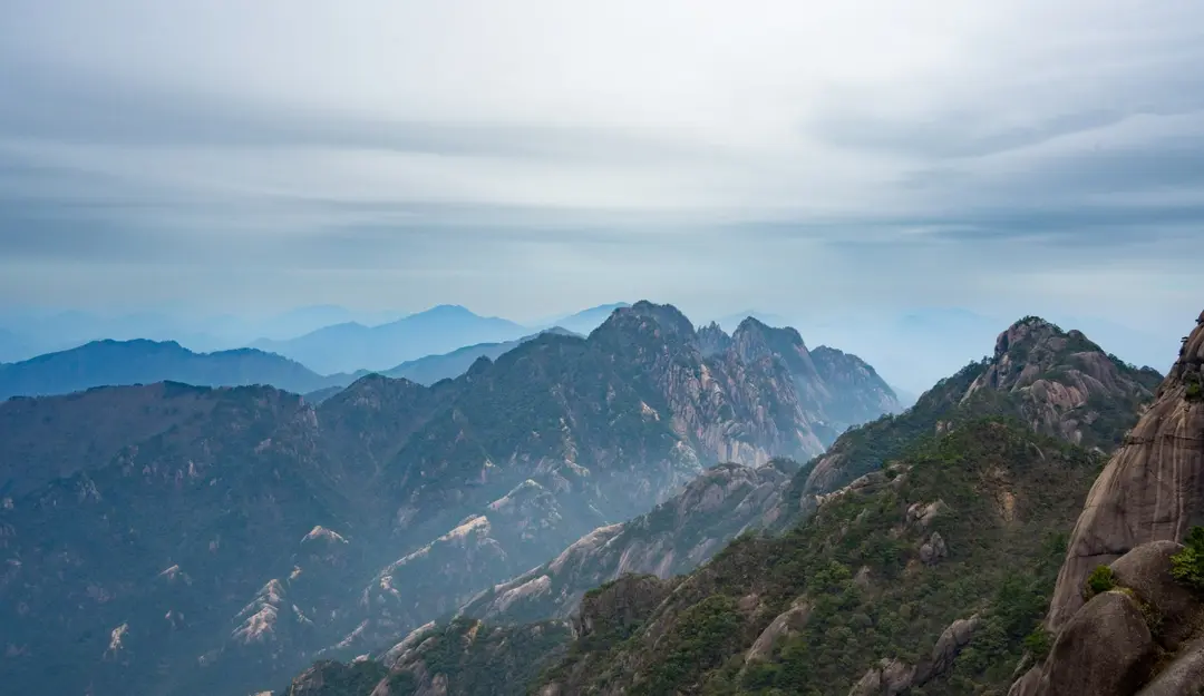 What trees should the mountains in lush mountains and clear waters actually be made of?