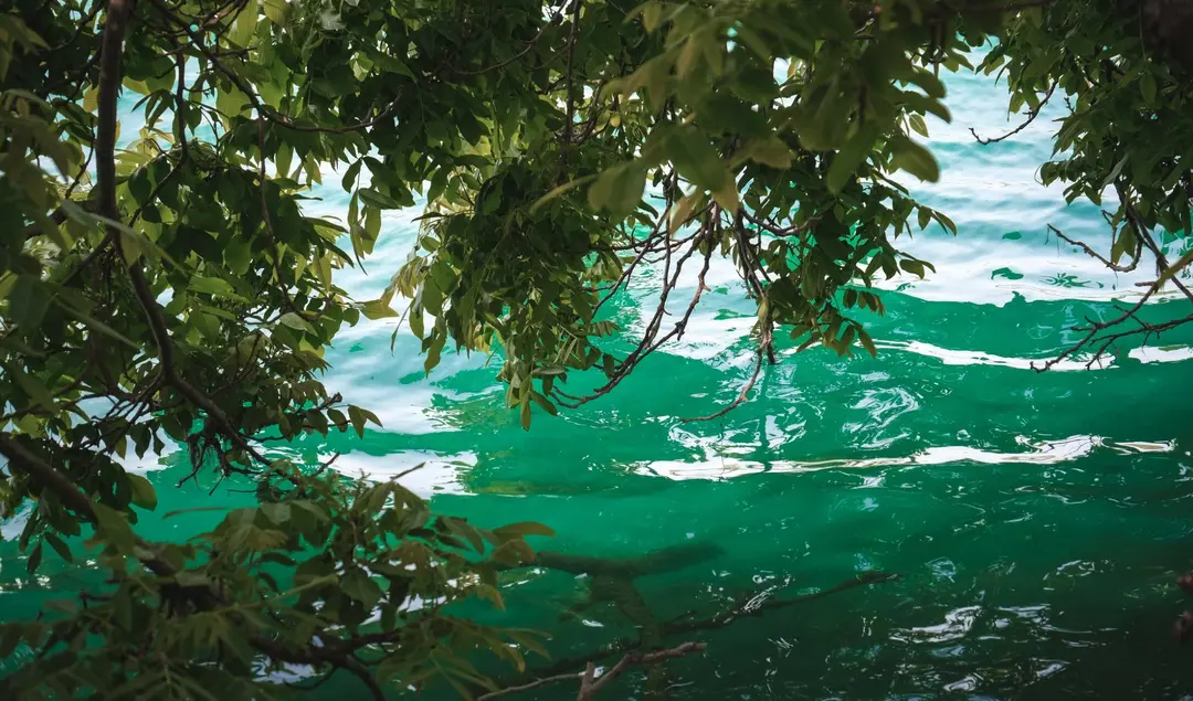 Clear waters