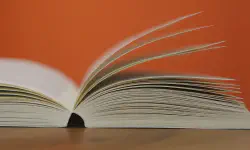 Featured image of post Switching Blog Themes to Hugo Bear