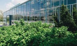 Featured image of post 16年后再次聆听大学教授教诲