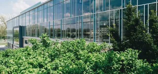 Listening to the teachings of a university professor again after 16 years