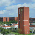 What I Gained from Attending Professor Luo Xiang's Lecture at My University