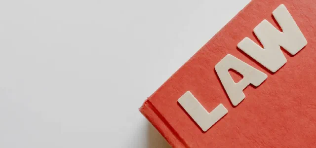 Why American Lawyers Haven't Been Defeated by AI Yet