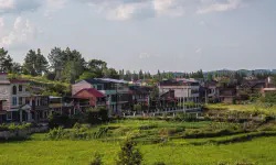 Featured image of post 老年农民工返乡，难以再走农业社会的老路