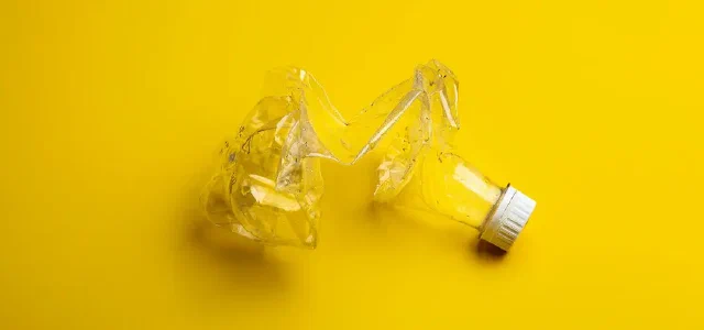 Plastic Components in Common Foods Have a Significant Impact on Fertility