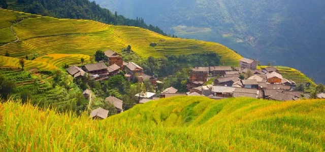 Research on the construction of rural rule of law to help rural revitalization