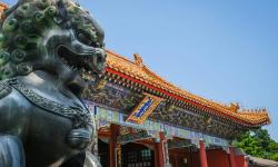 Featured image of post 审执分离到底怎么分