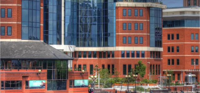 Typical Case of Shareholders' Joint and Several Liability for Company Debts