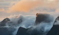 Featured image of post Some Stereotypes About the Judicial Bureau