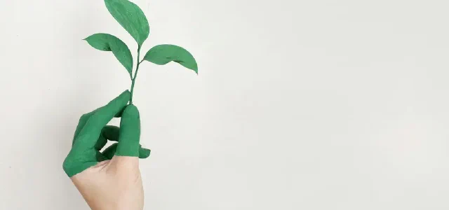 Extending the Lifespan of Soomal Website by Another 10 Years