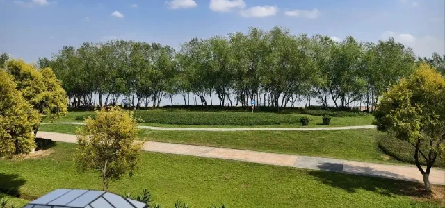 Updating to VIVO Smartphone and Watch