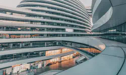 Featured image of post Why Are We Seeing Fewer Colors in Our Lives?