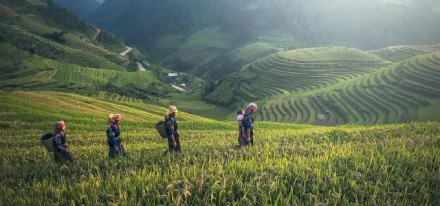 Why Are Landslides in Hunan Province So Severe?