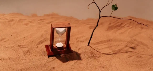 Why Don't Chinese People Like Logic?